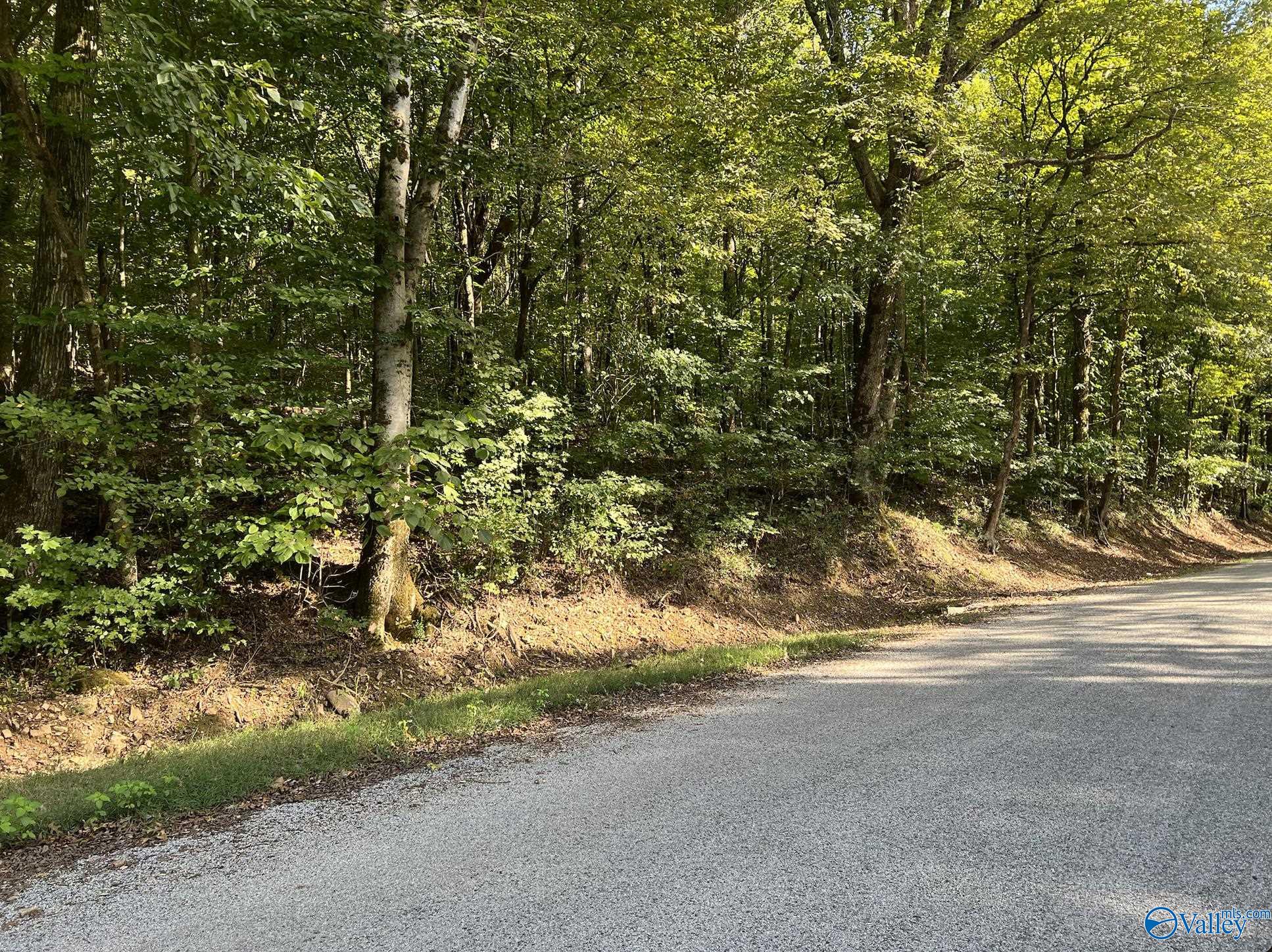 002 And 003 Chapman Hollow Road, Elkmont, Alabama image 2