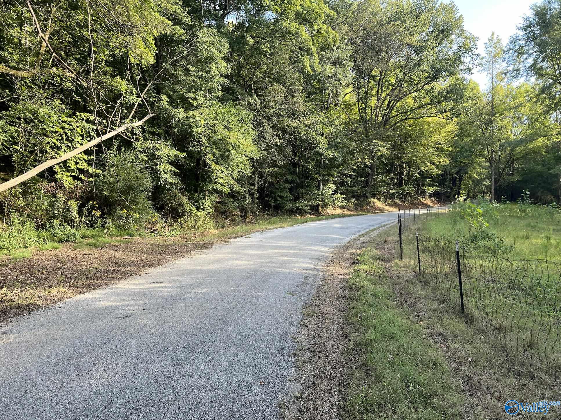 002 And 003 Chapman Hollow Road, Elkmont, Alabama image 1