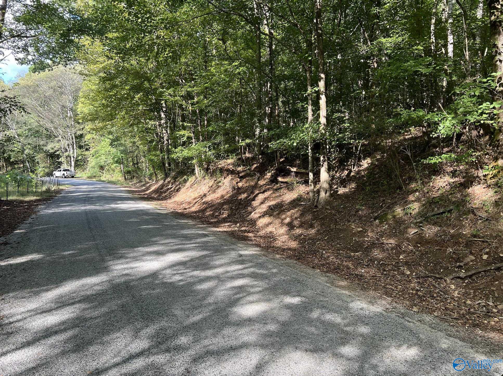 002 And 003 Chapman Hollow Road, Elkmont, Alabama image 8