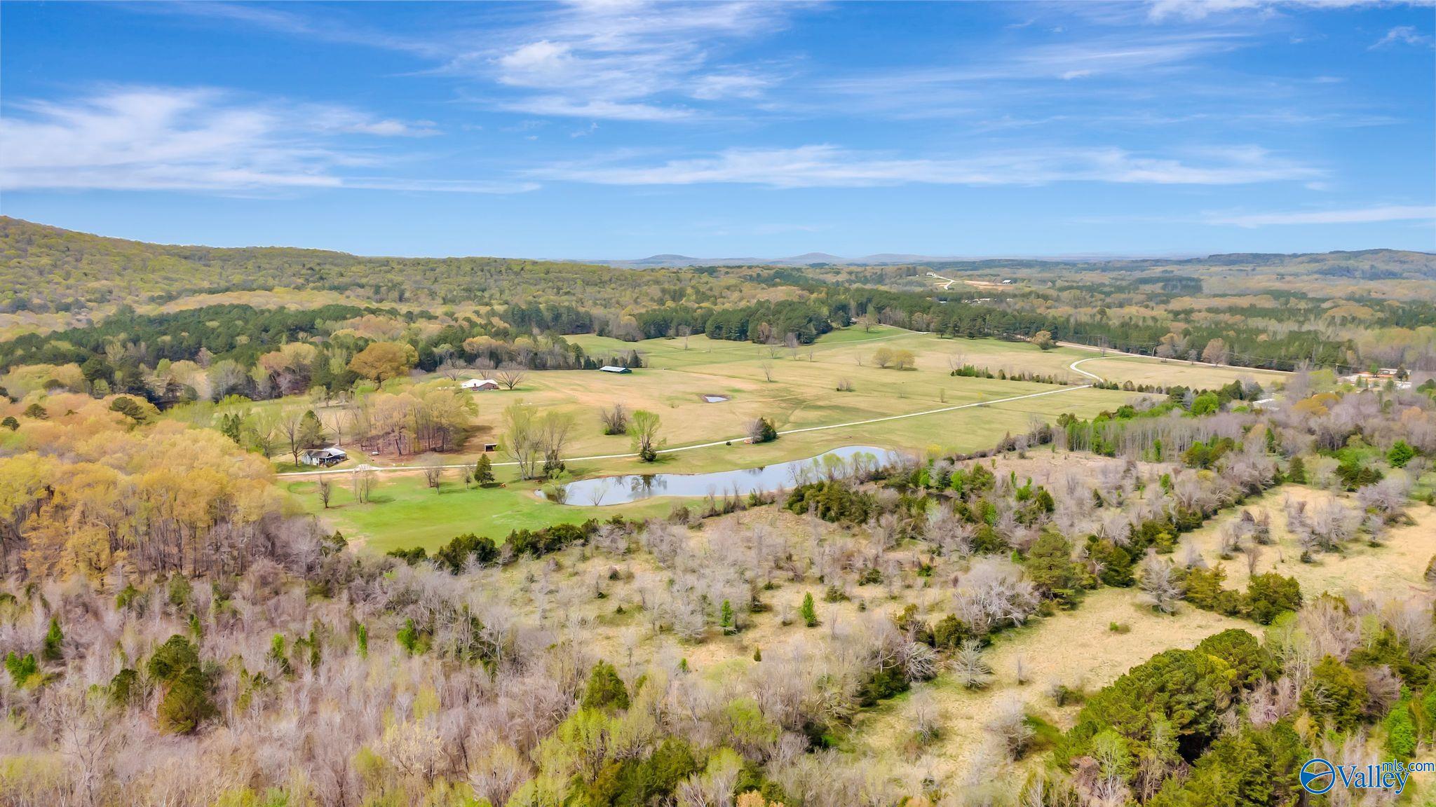 271 Dry Creek Cove Road, Laceys Spring, Alabama image 9