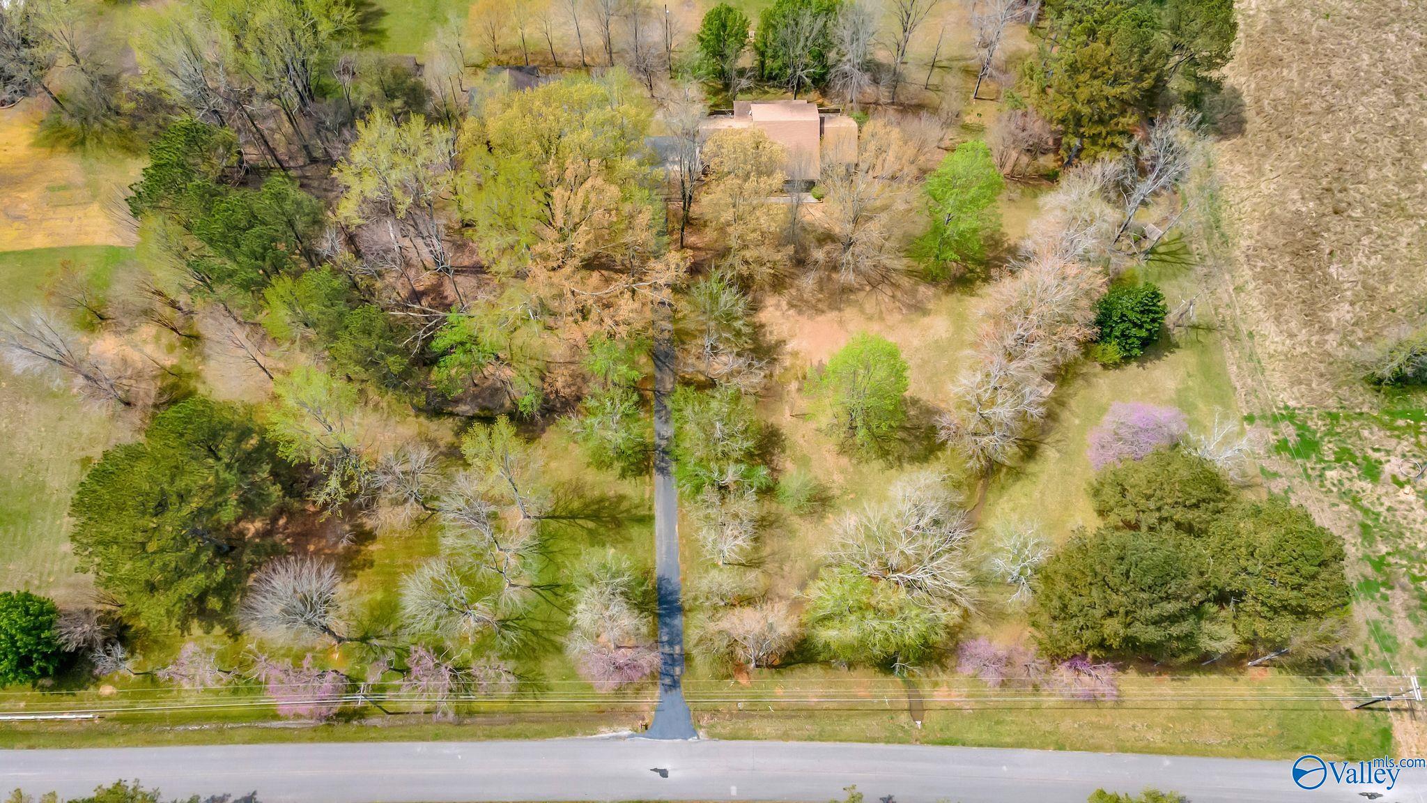 271 Dry Creek Cove Road, Laceys Spring, Alabama image 7