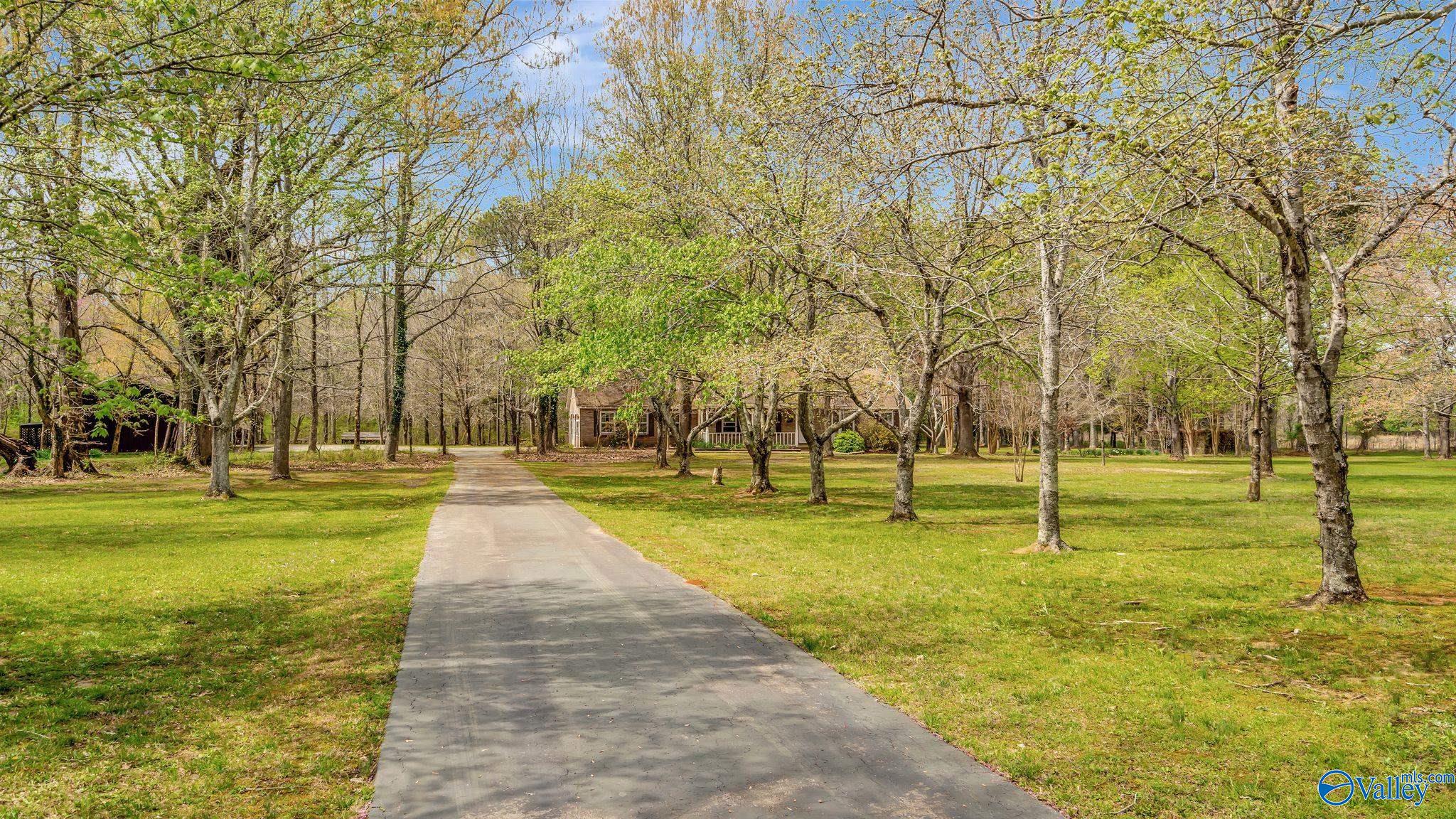 271 Dry Creek Cove Road, Laceys Spring, Alabama image 2