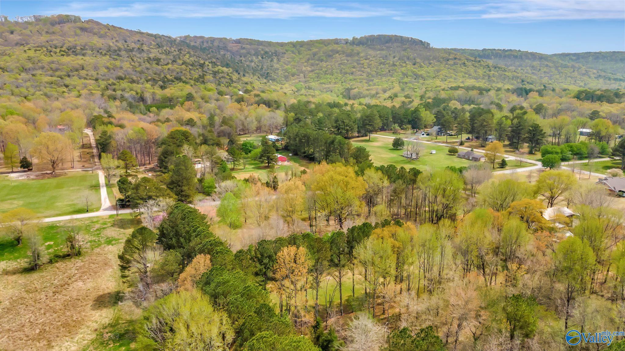 271 Dry Creek Cove Road, Laceys Spring, Alabama image 8