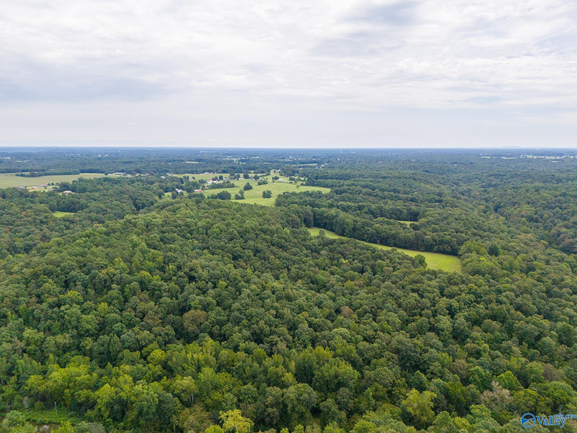 36.49 Elk River Mills Road, Athens, Alabama image 9