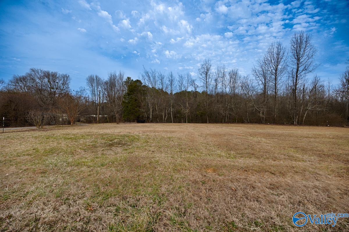 115 Lasater Road, Laceys Spring, Alabama image 6