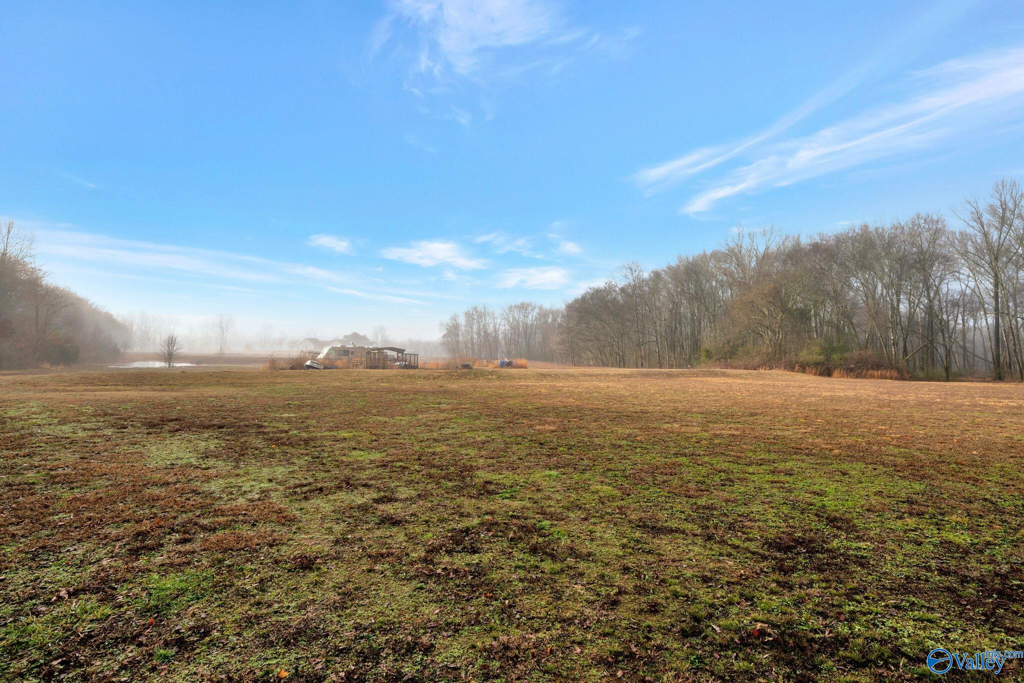 14499 Dupree Worthey Road, Harvest, Alabama image 22