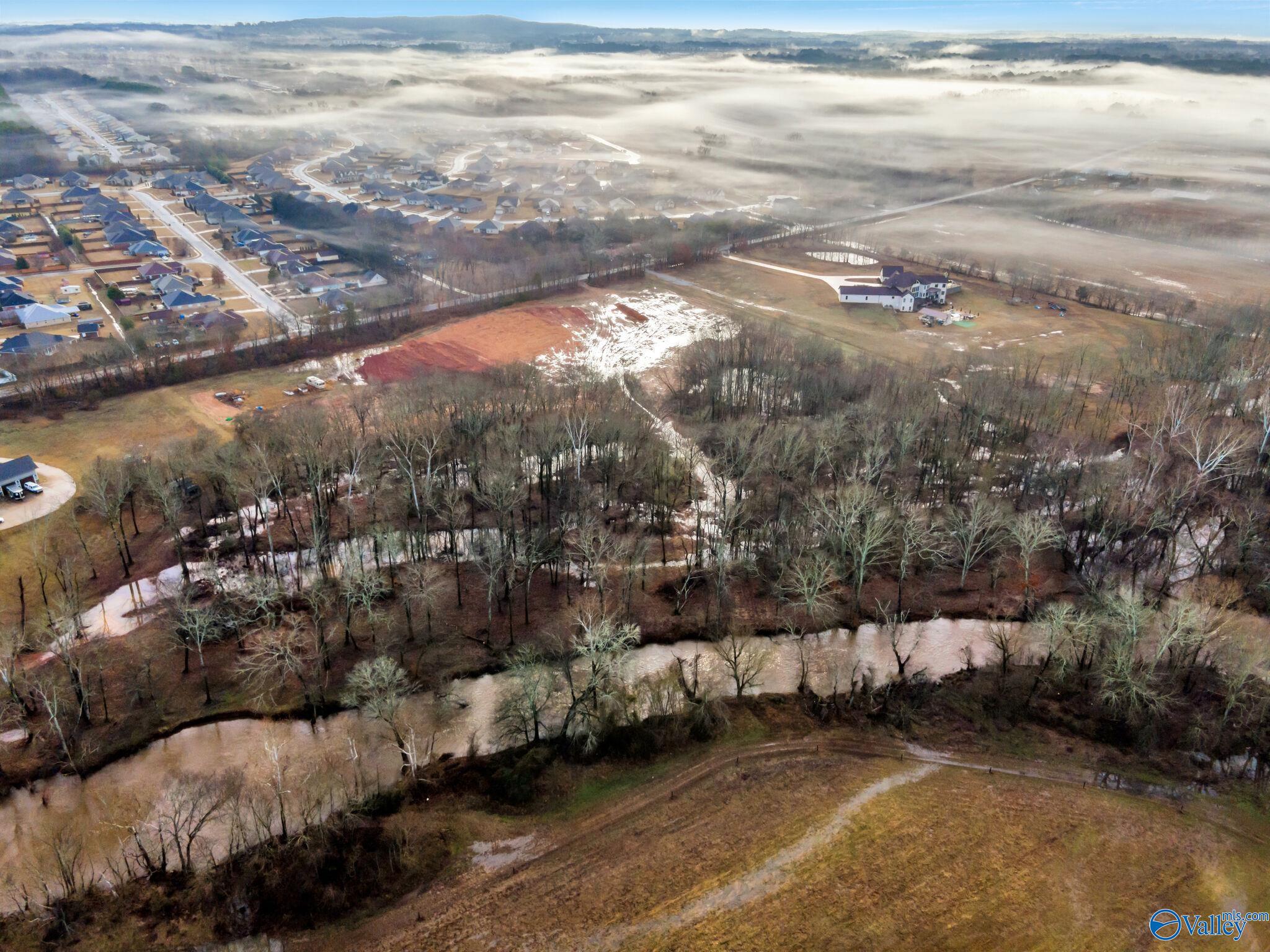 14499 Dupree Worthey Road, Harvest, Alabama image 9