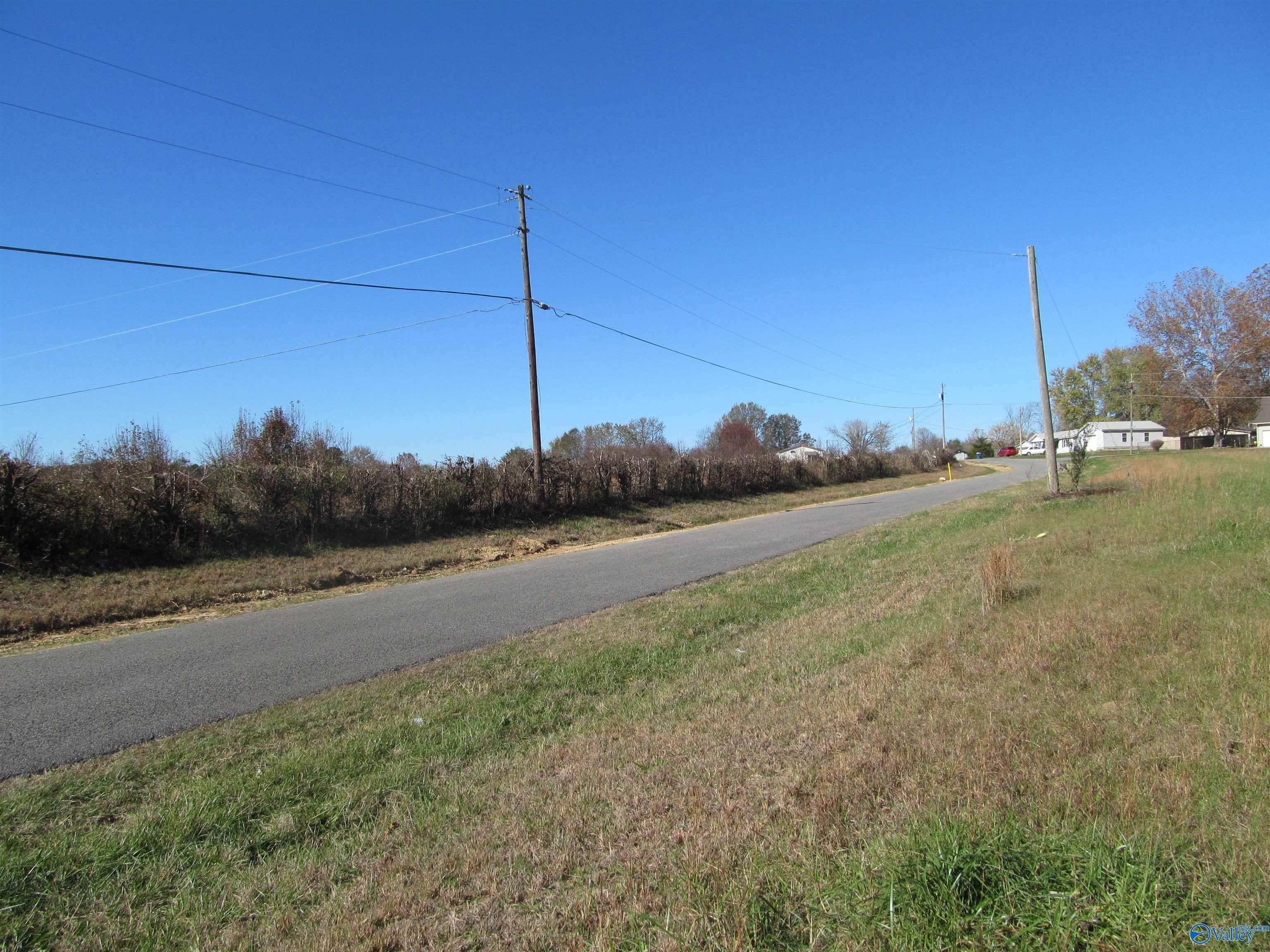 8.8 Rice Mill Road, Albertville, Alabama image 18