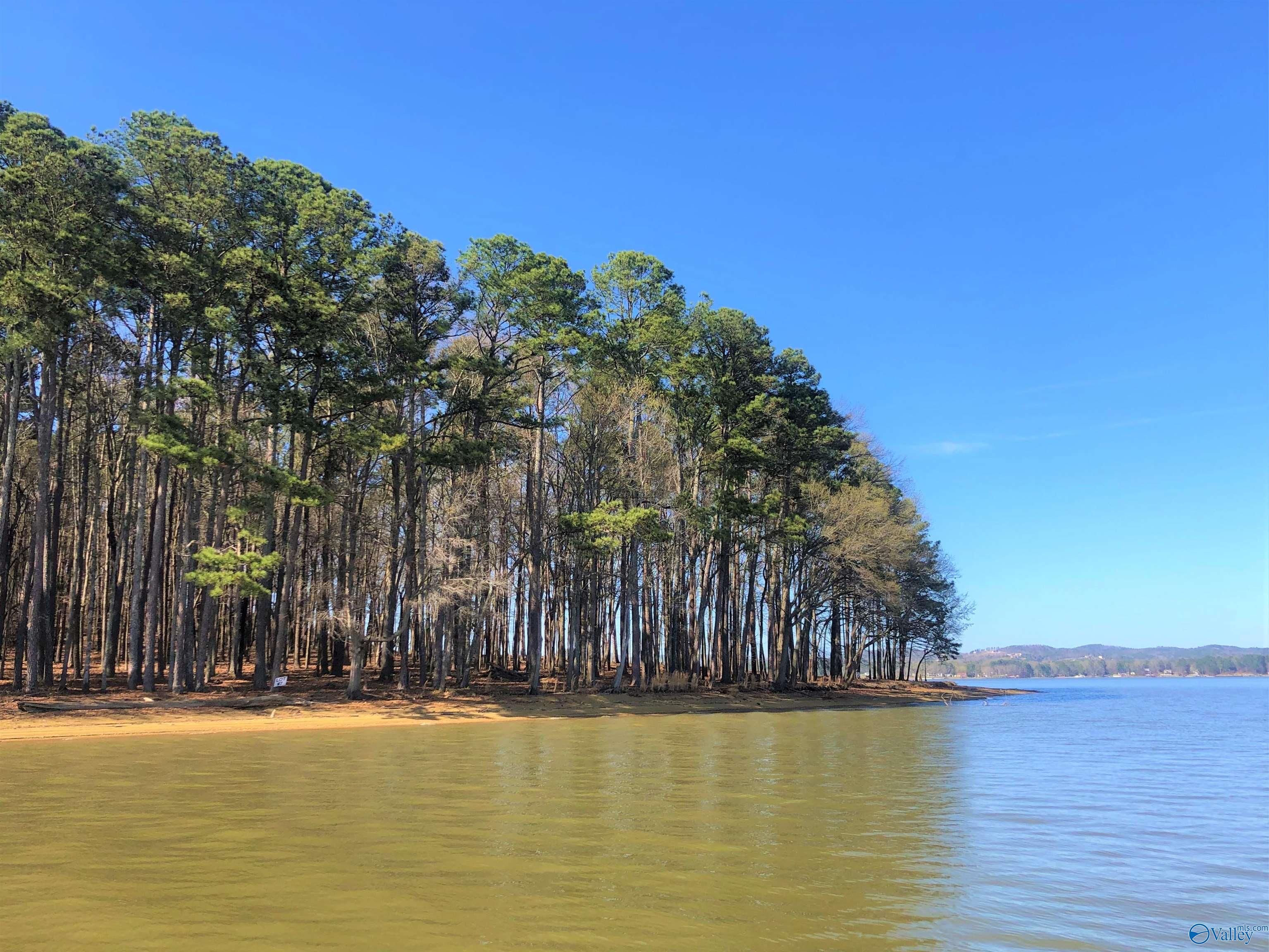 Lot 12 Little River Landing, Cedar Bluff, Alabama image 3