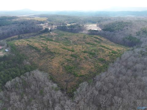 Vacant Land For Sale - 57 AC County Road 921<br/> Gaylesville, AL 35973