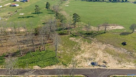 Lot 19 Garrett Street Rainsville AL 35986