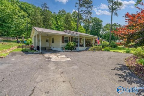 1404 Patterson Street Guntersville AL 35976