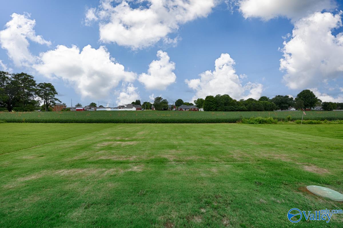 112 Elledge Farm Drive, Hazel Green, Alabama image 28