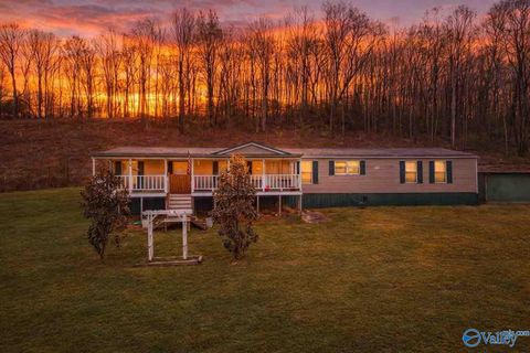 Mobile Home For Sale - 1044 Buster Willett Road<br/> Etowah County, Attalla, AL 35954