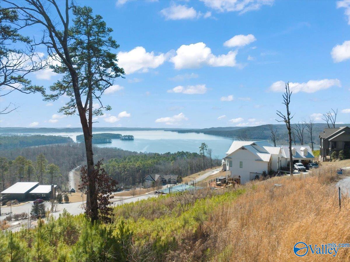 Lot 50 Fall Creek Drive, Guntersville, Alabama image 3