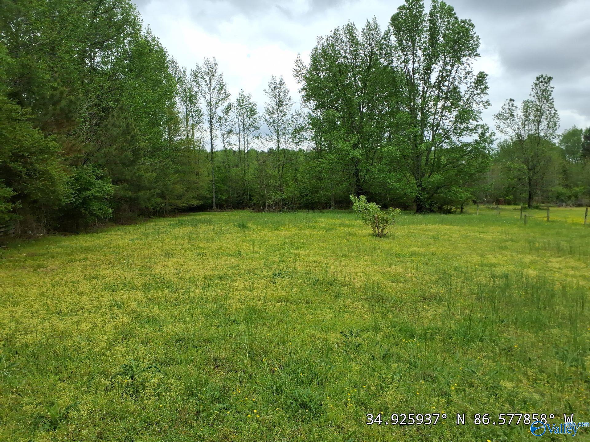 229 Townsend Road, Hazel Green, Alabama image 18