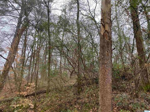 Vacant Land For Sale - 1 Bud Weaver Road<br/> Hartselle, AL 35640