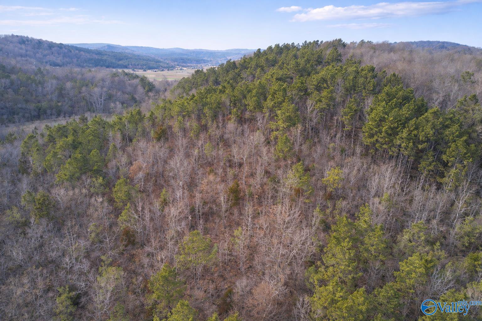 Tract 3 County Road 176