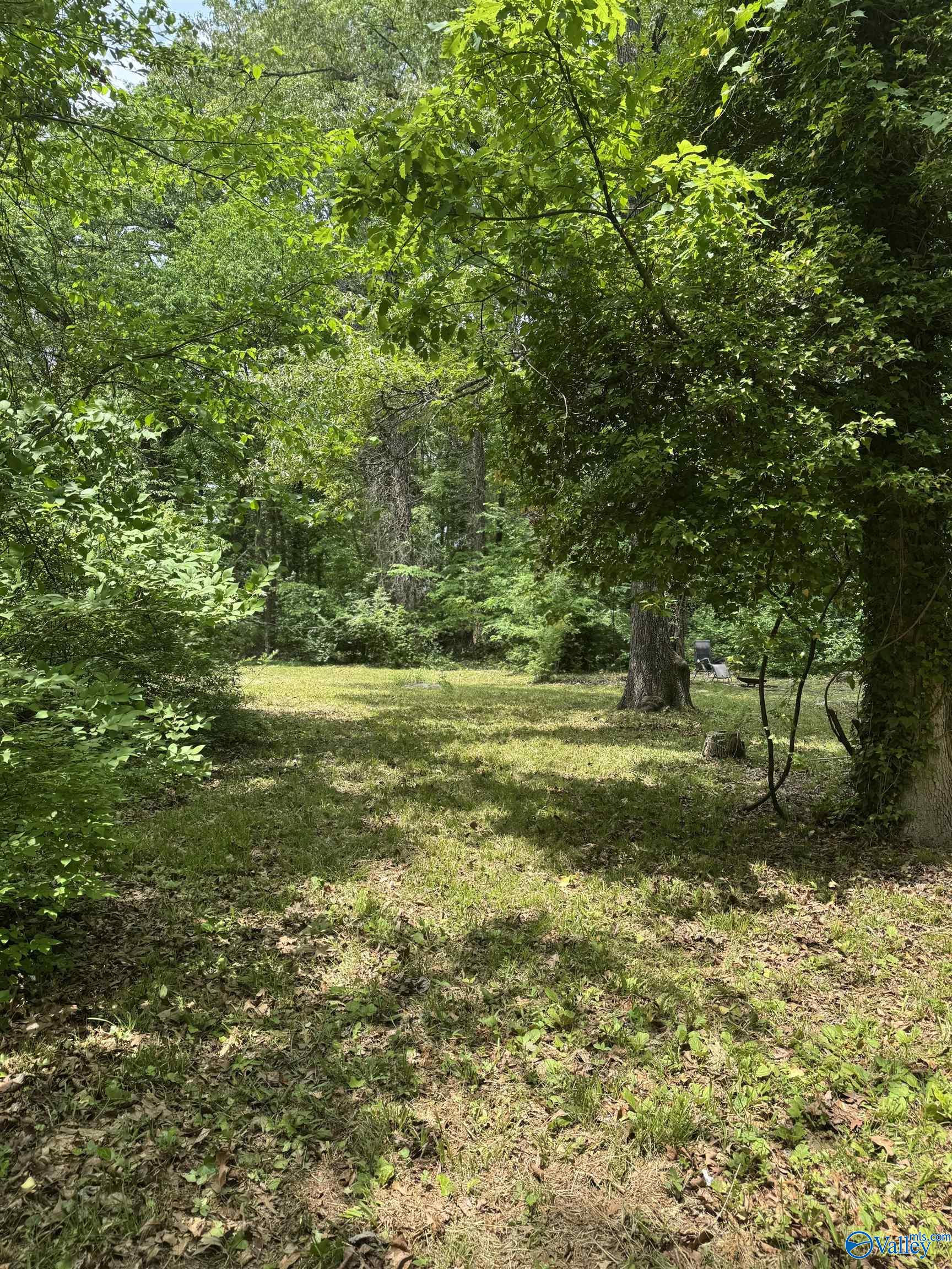 10106 Bluff Drive, Huntsville, Alabama image 22