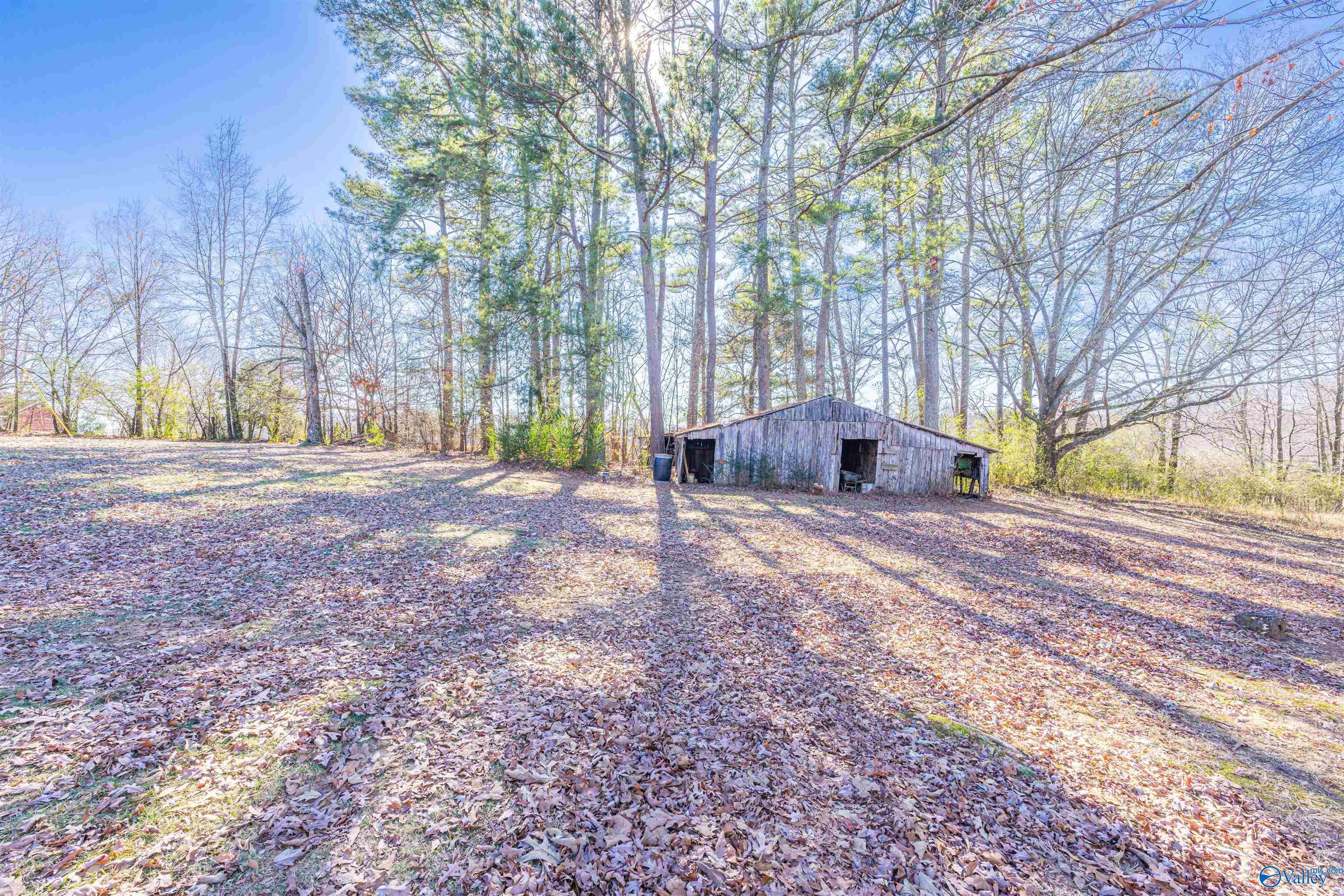 7484 County Road 76, Rogersville, Alabama image 25