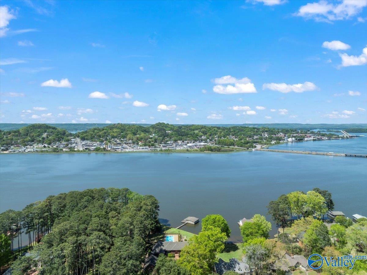1800 Wyeth Drive, Guntersville, Alabama image 14