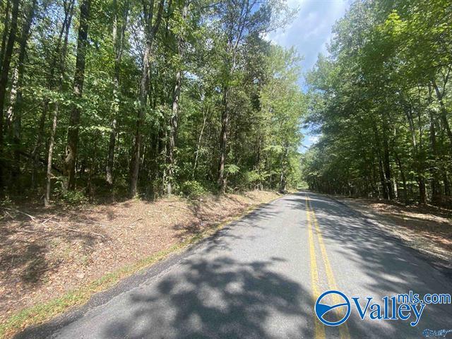 A 900 County Road 114, Scottsboro, Alabama image 1