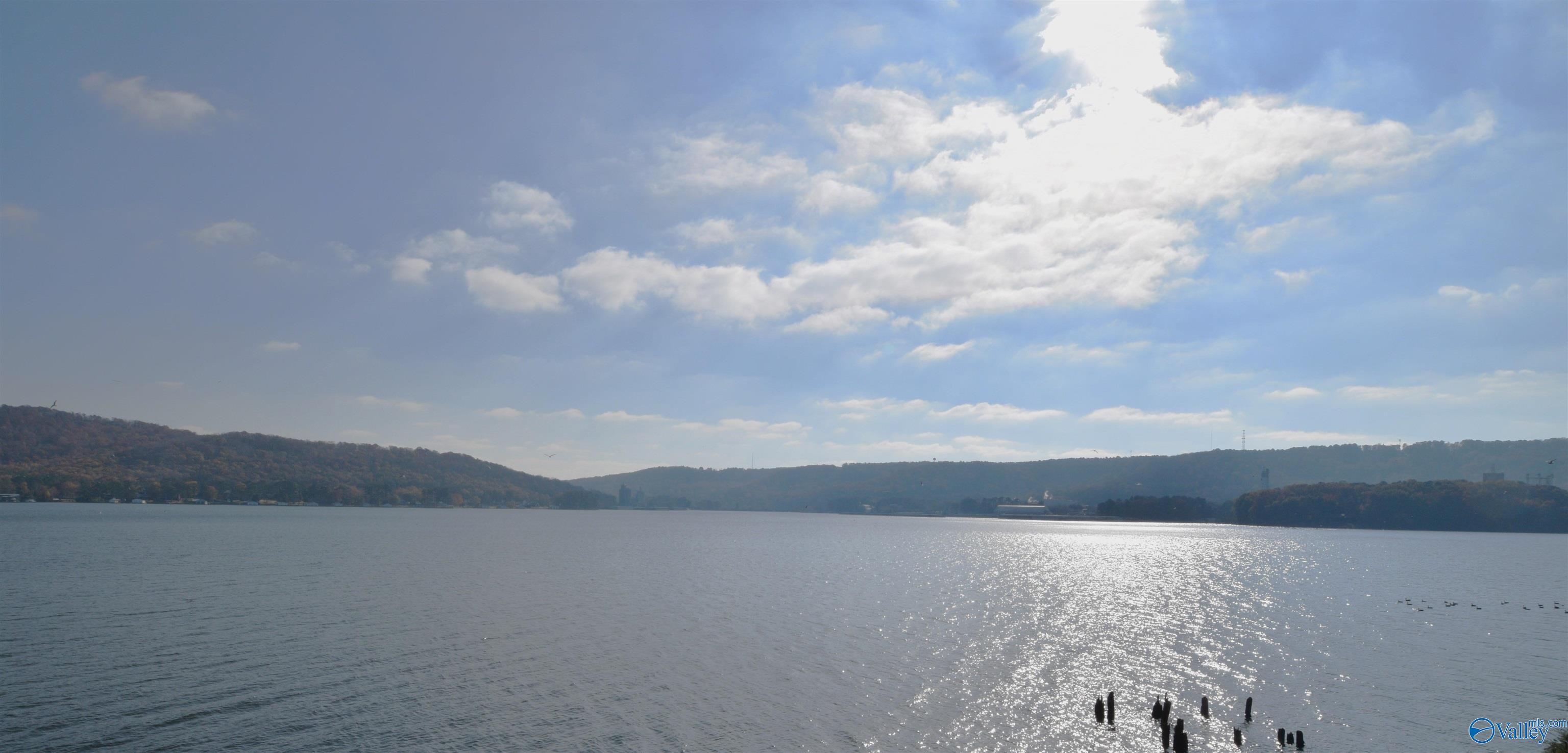 2699 - 202 Paddle Wheel Drive #202, Guntersville, Alabama image 3