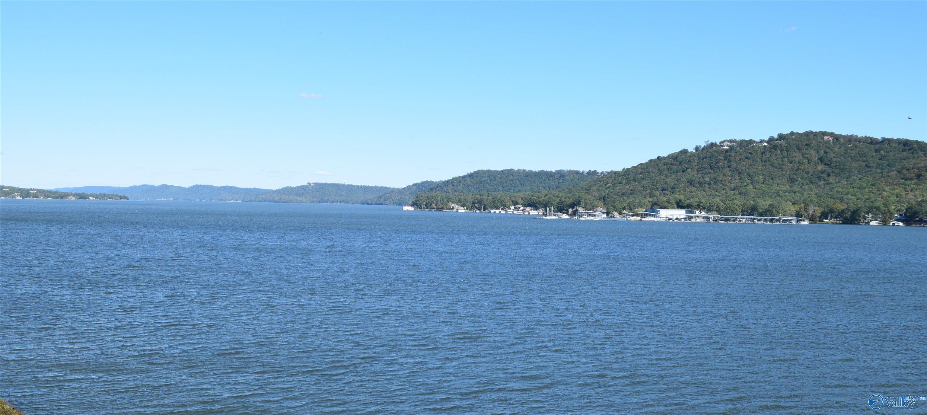 2699 - 202 Paddle Wheel Drive #202, Guntersville, Alabama image 16