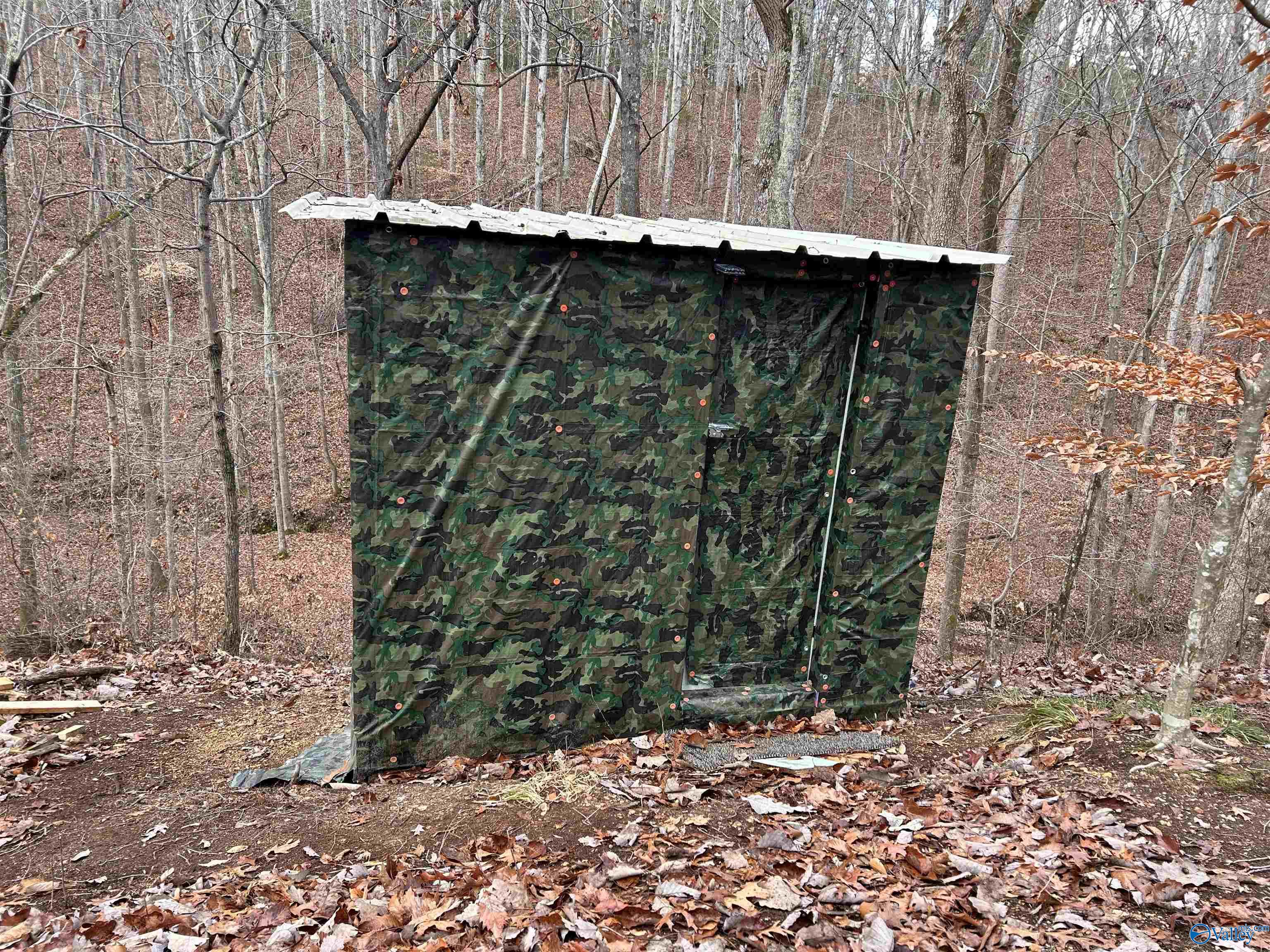 10 AC Pennywinkle Creek Lane, Cherokee, Alabama image 3