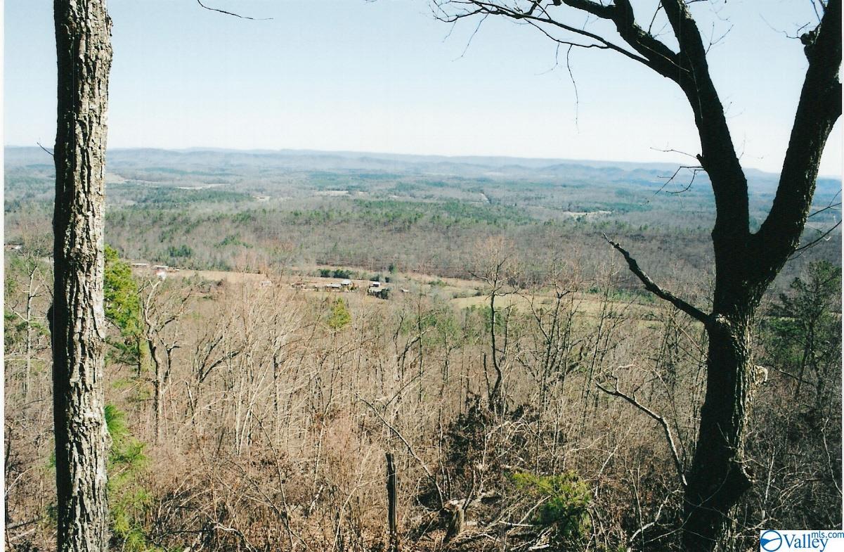 Lot 67 County Road 103, Mentone, Alabama image 1