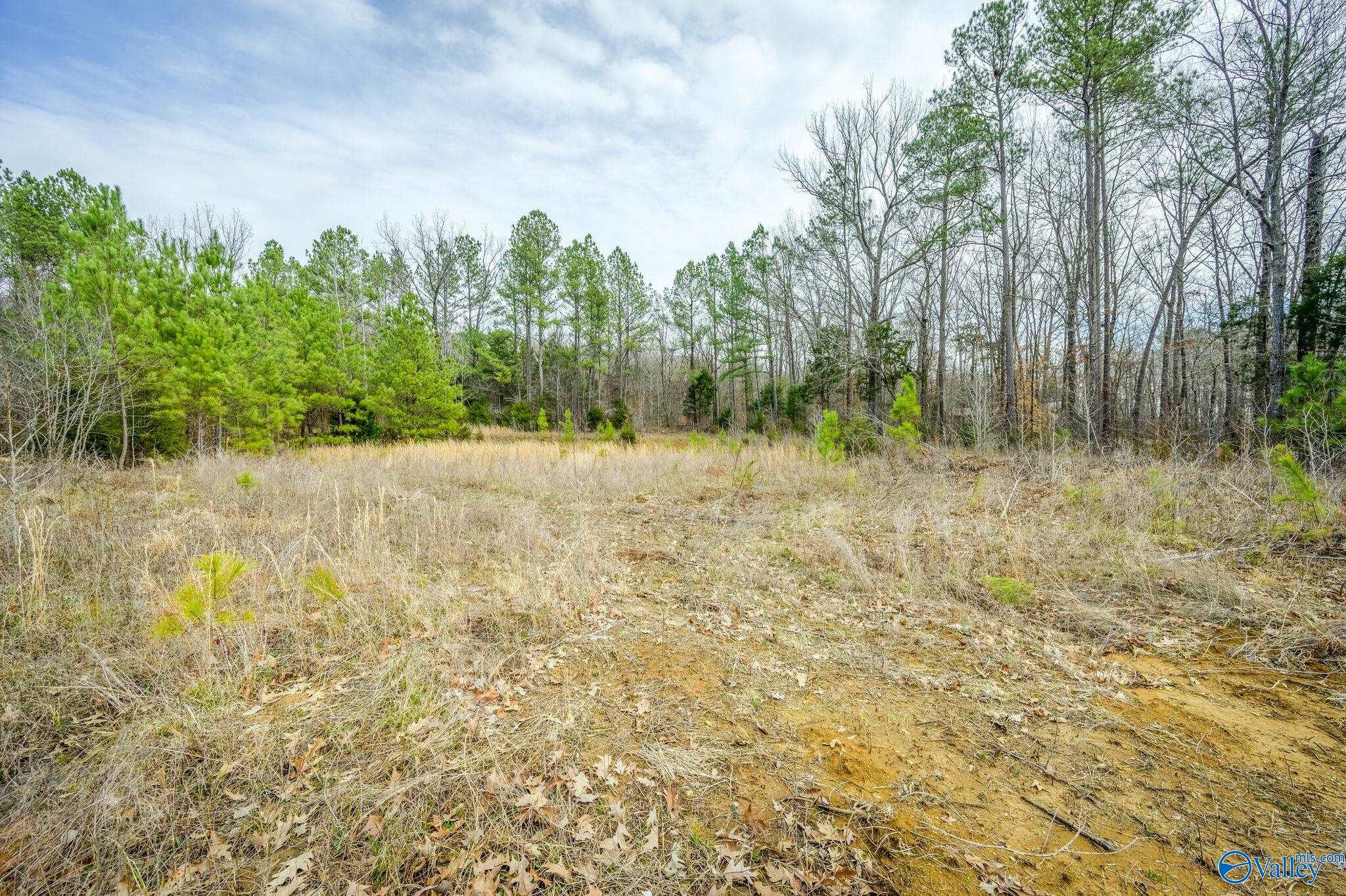 3 Acres N U S Hwy 431, New Hope, Alabama image 9