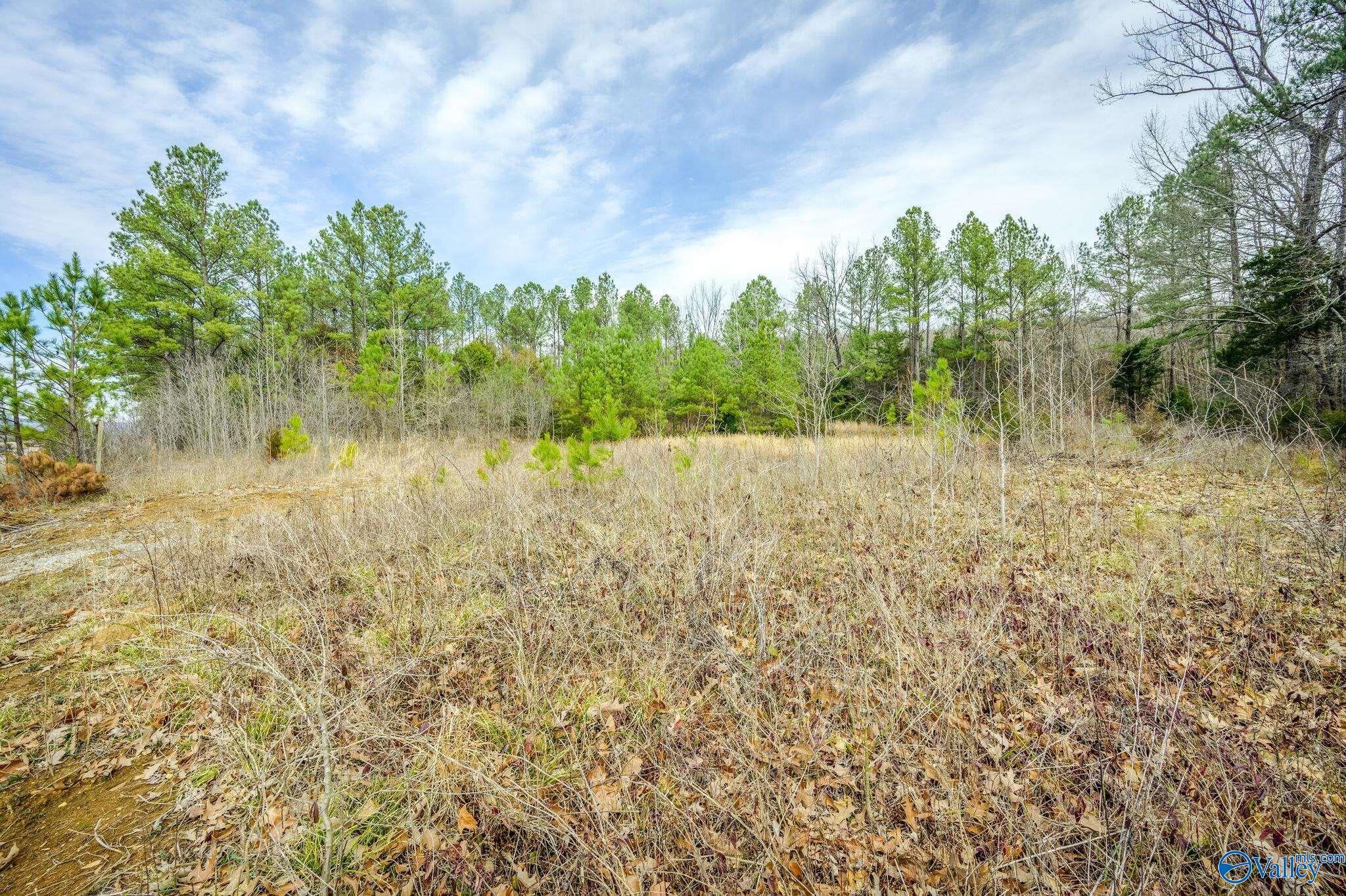 3 Acres N U S Hwy 431, New Hope, Alabama image 10