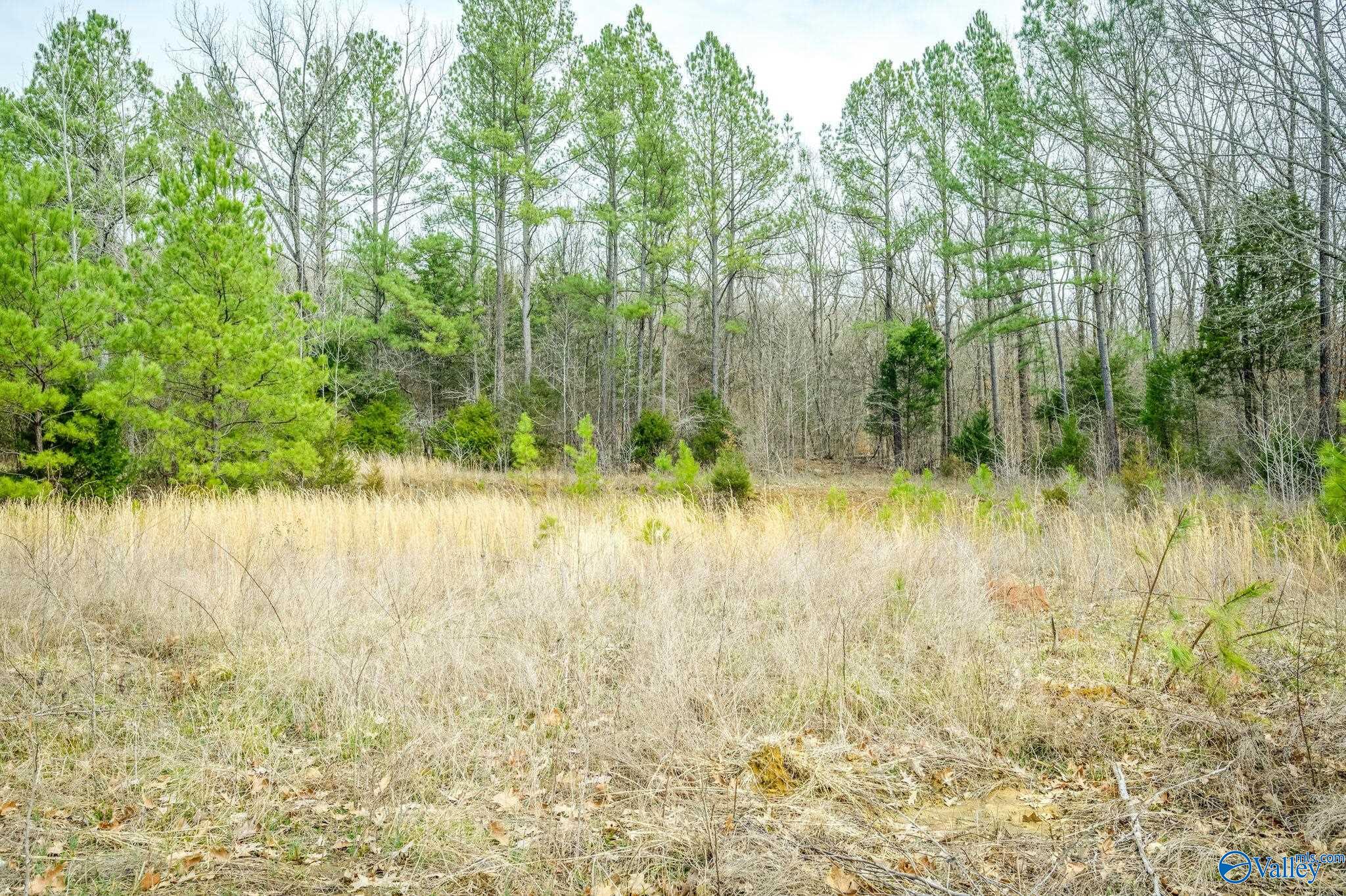 3 Acres N U S Hwy 431, New Hope, Alabama image 11