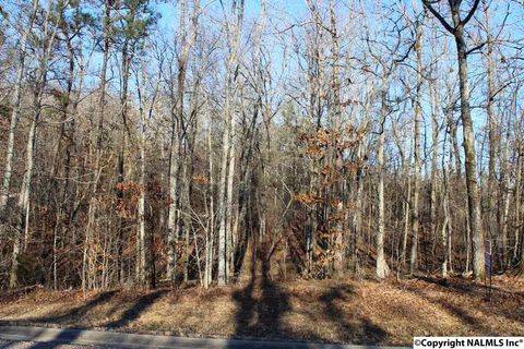 Vacant Land For Sale - NA Raintree Drive<br/> Cherokee County, Centre, AL 35960