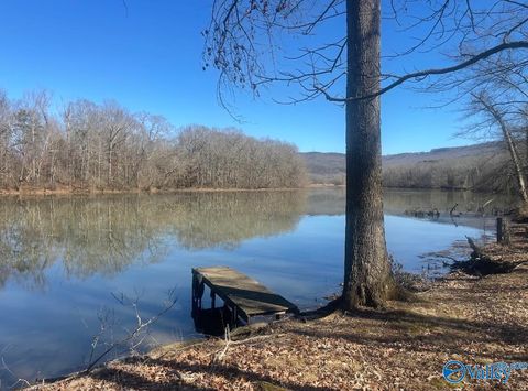 Vacant Land For Sale - 572 County Road 676<br/> Bryant, AL 35958