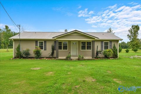 Homes For Sale - 627 Fairview Road<br/> Baileyton, AL 35019