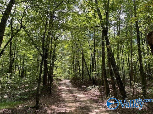 30 Acres County Road 476, Fort Payne, Alabama image 10