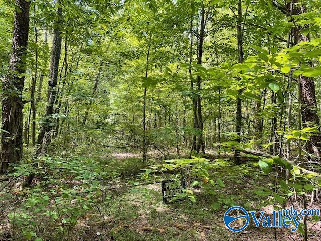 30 Acres County Road 476, Fort Payne, Alabama image 2