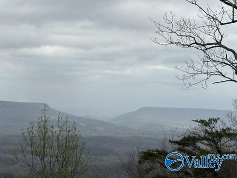 Vacant Land For Sale - 68 County Road 89<br/> Dekalb County, Mentone, AL 35984