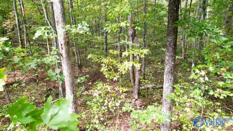 Vacant Land For Sale - 4.16 ACRES N Stewart Lane<br/> Rising Fawn, GA 30738