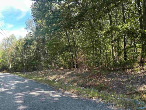 Vacant Land For Sale - 3 ACRES County Road 1025<br/> Fort Payne, AL 35967