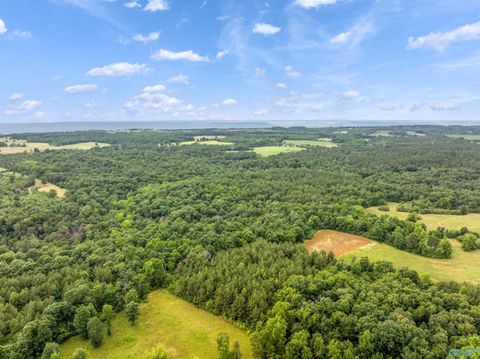 Vacant Land For Sale - 49.50 ACRES County Road 605<br/> Jackson County, Section, AL 35771