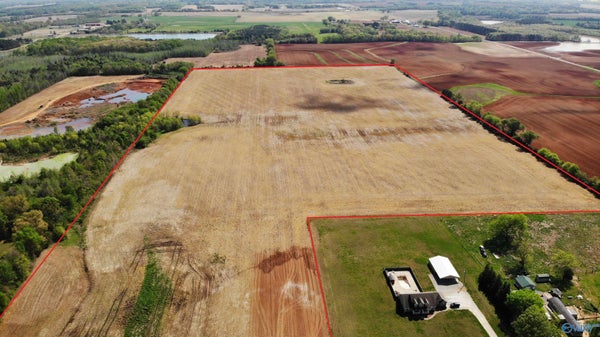 72 ACRES HATTON SCHOOL ROAD, LEIGHTON, AL 35646 - Image 9318c64cb1259c8b6adc32f898ed63d4/1210035467