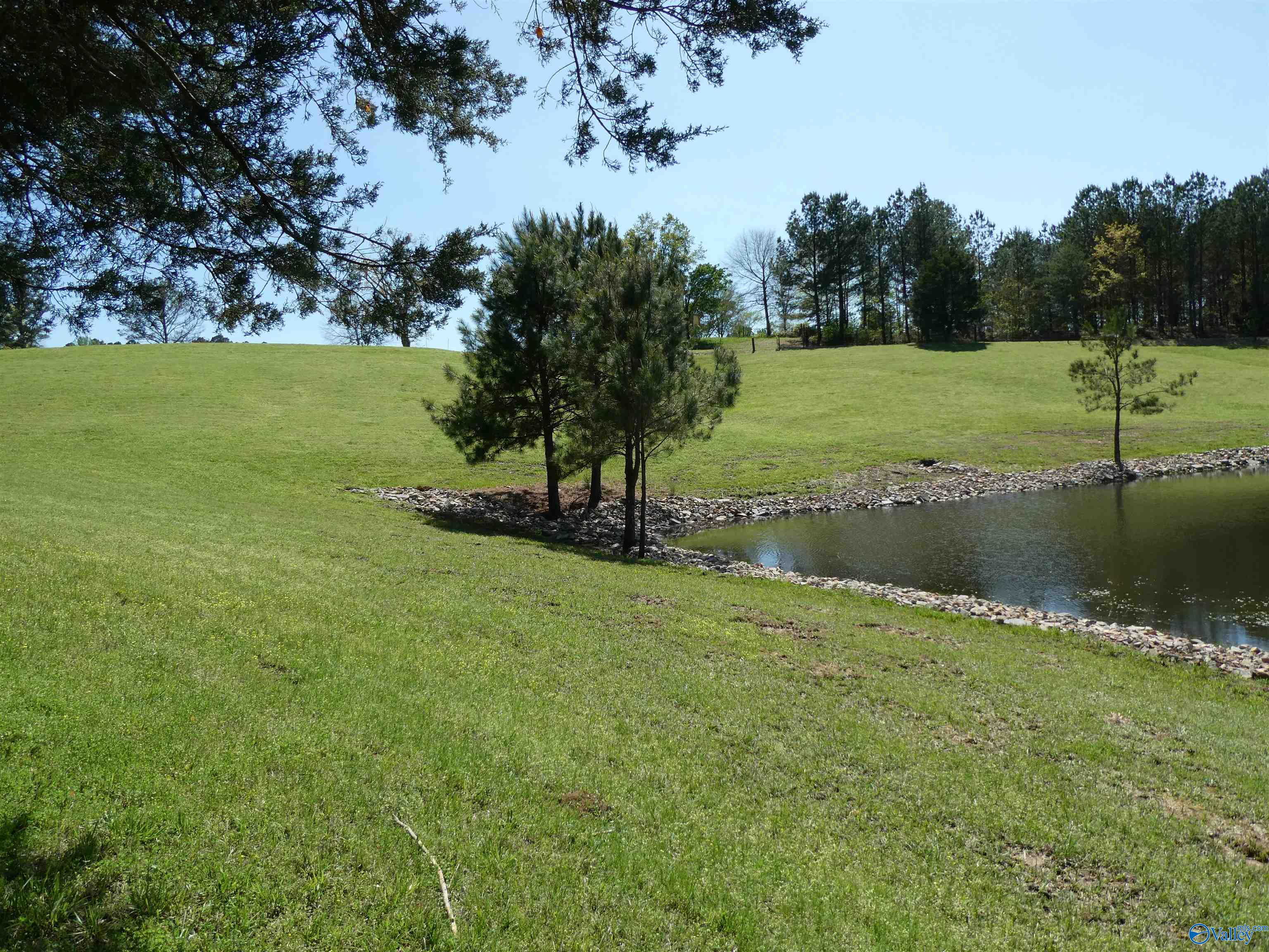 3.27 Ac County Road 4201, Crane Hill, Alabama image 2