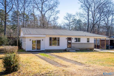 Photo of 207 Bingham Street, Scottsboro, AL 35768 (MLS # 21906706)