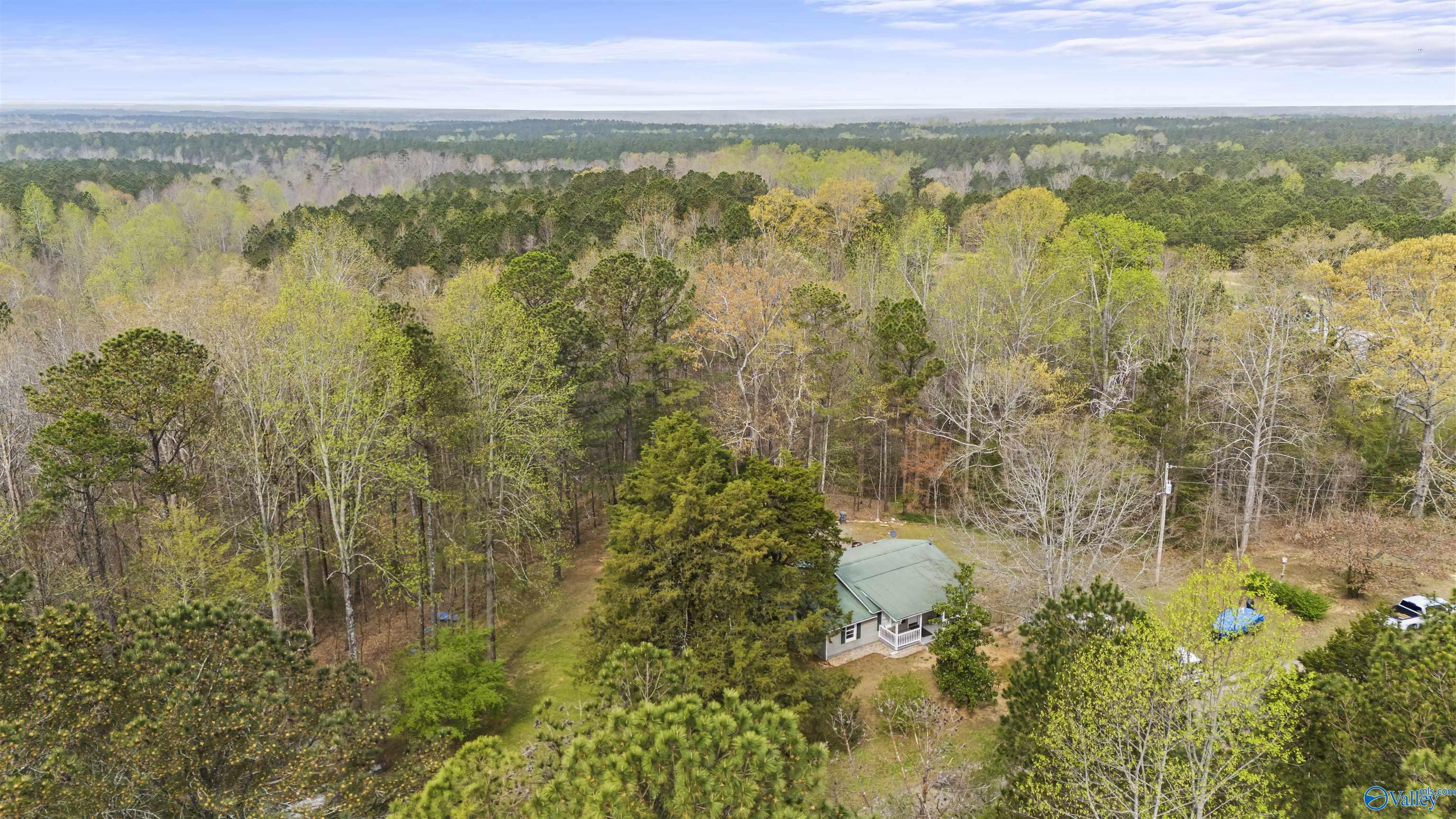 83 County Road 55, Bremen, Alabama image 20