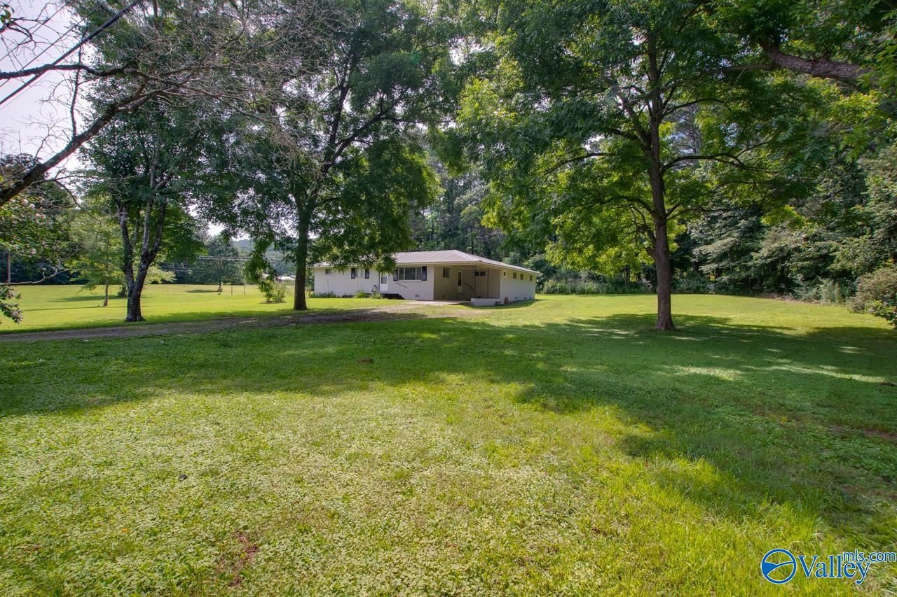 7615 Scottsboro Hwy, Scottsboro, Alabama image 2