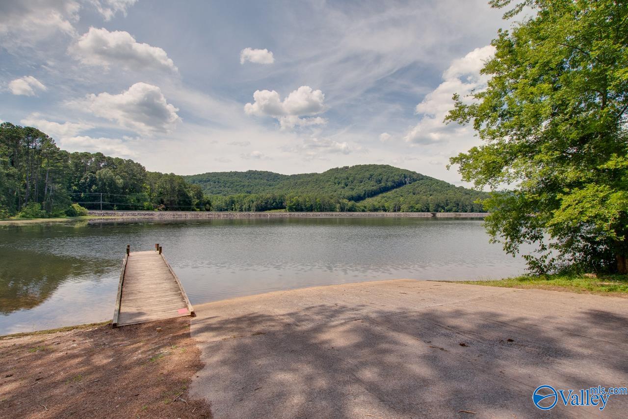 7615 Scottsboro Hwy, Scottsboro, Alabama image 23