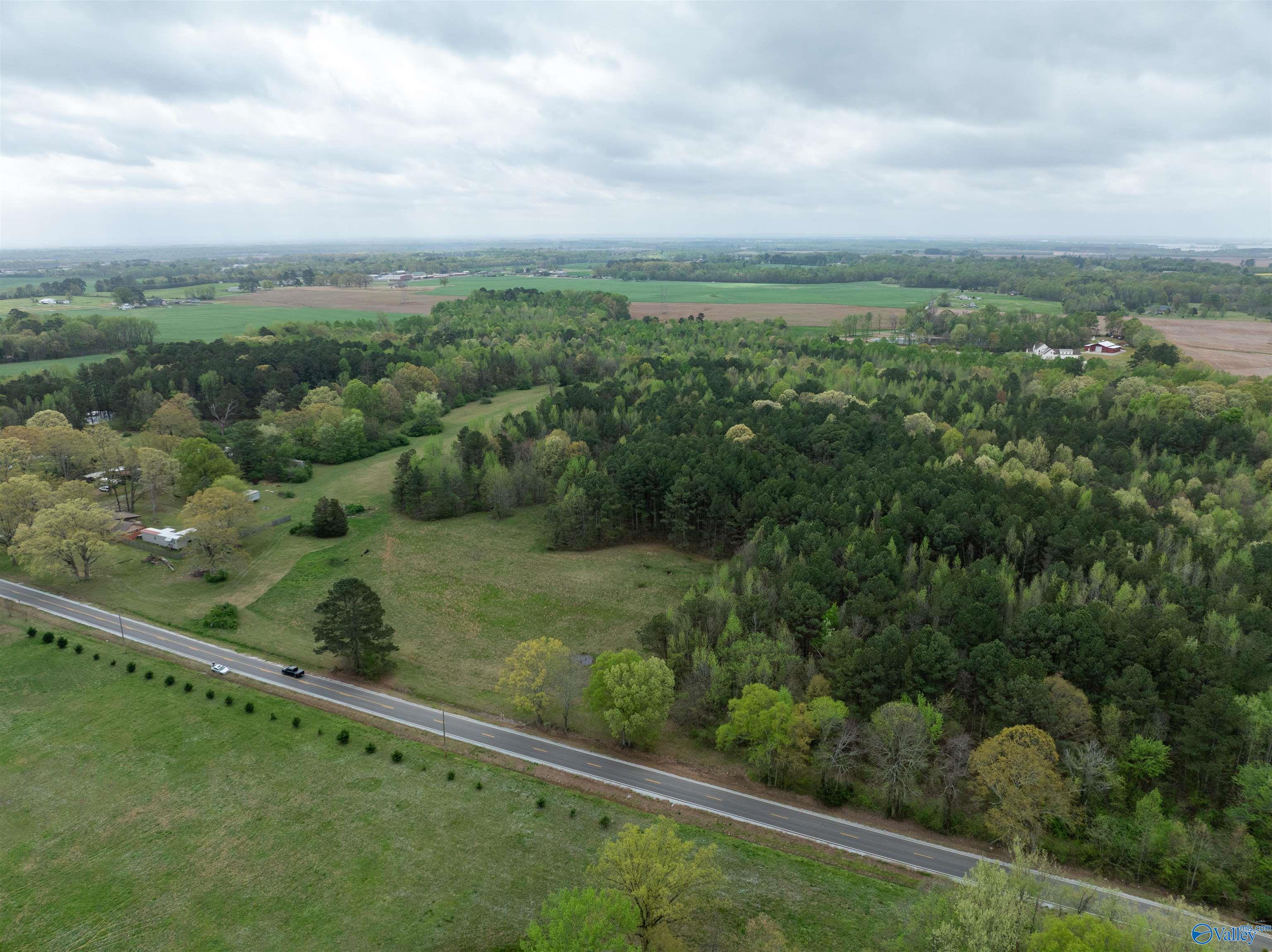 18990 Moyers Road, Athens, Alabama image 4