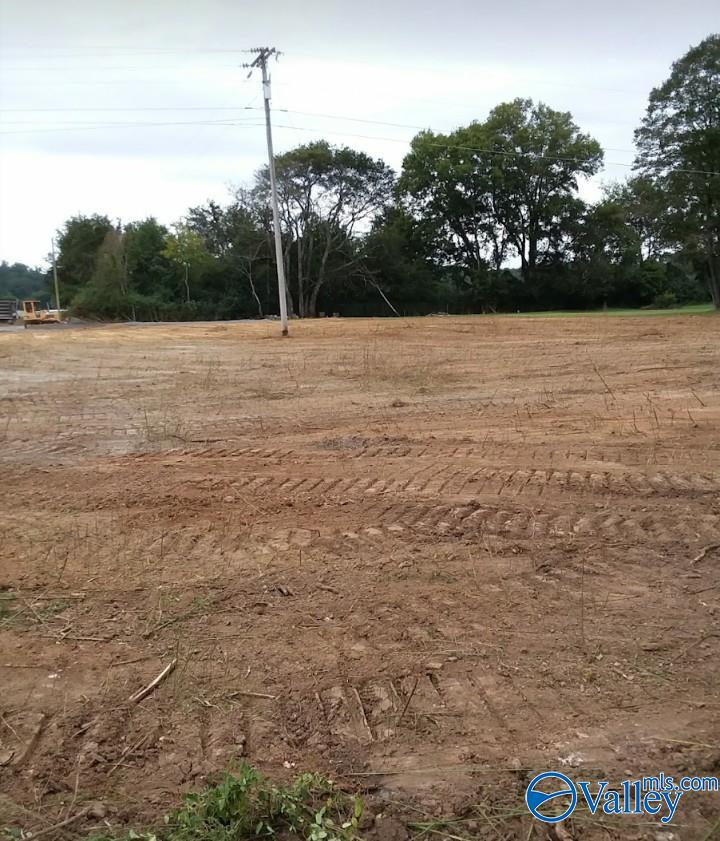 1.24 Acres US Highway 431